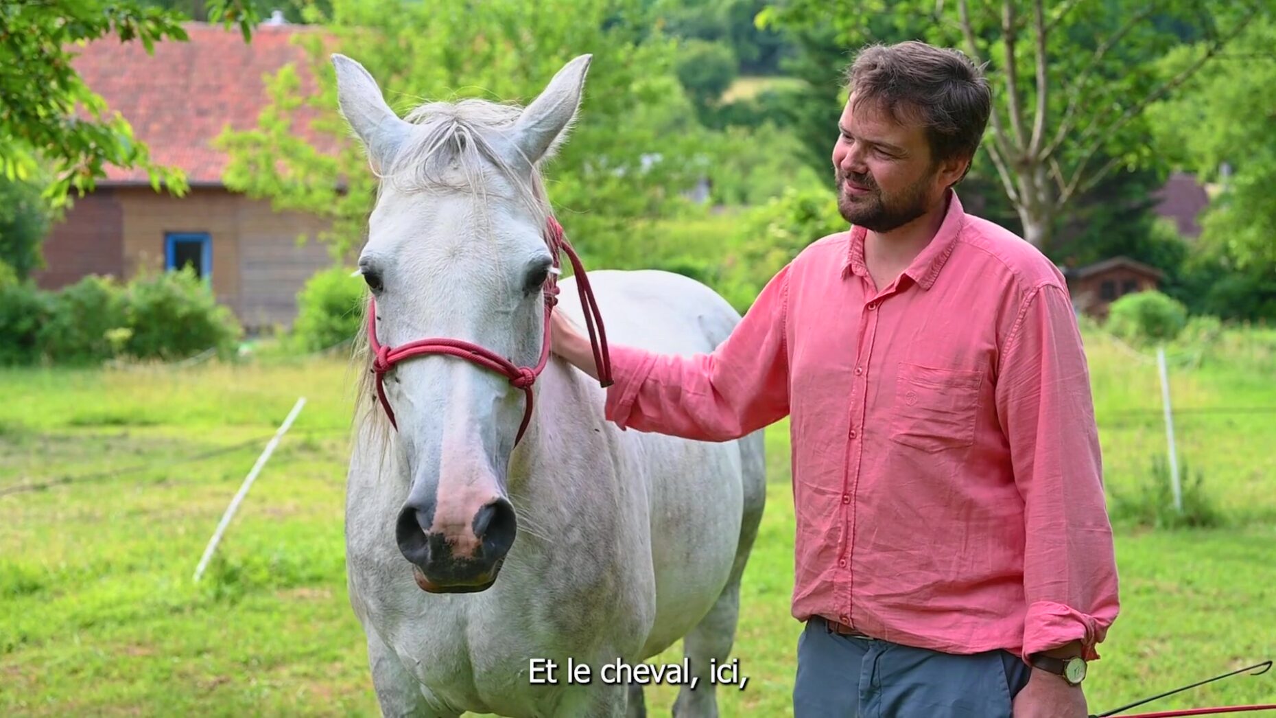 Equicoaching Autrement - video (2) Jean-Marie de Williencourt- Equicoaching
