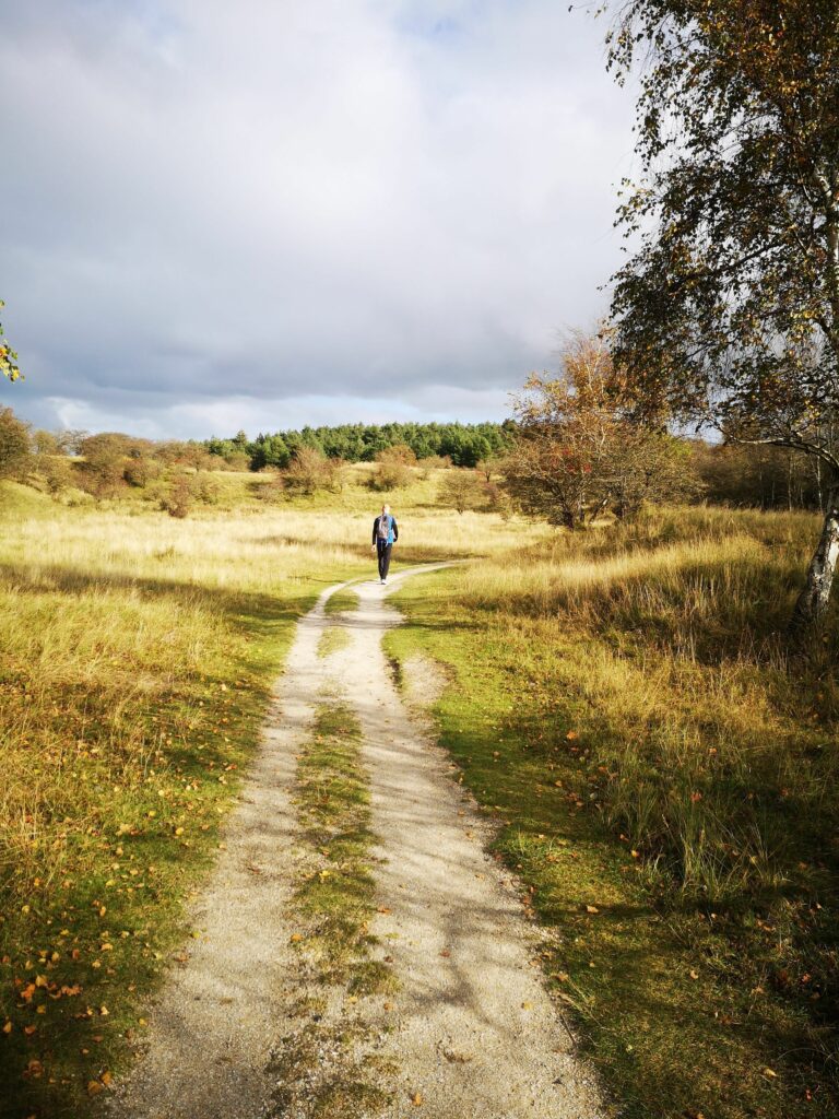 Marche afghane en automne : pourquoi c&rsquo;est la saison idéale